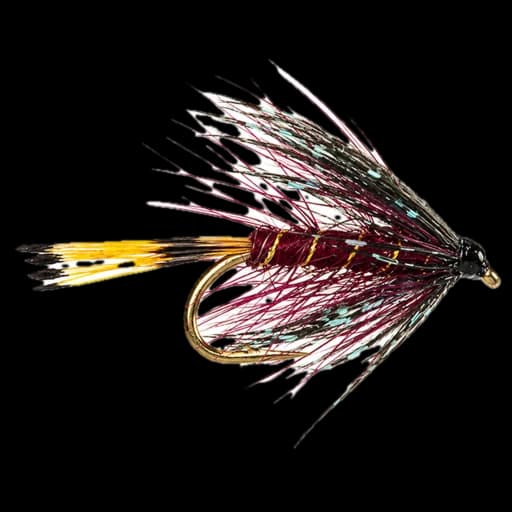 Irish Lough Style Wet Fly fly pattern