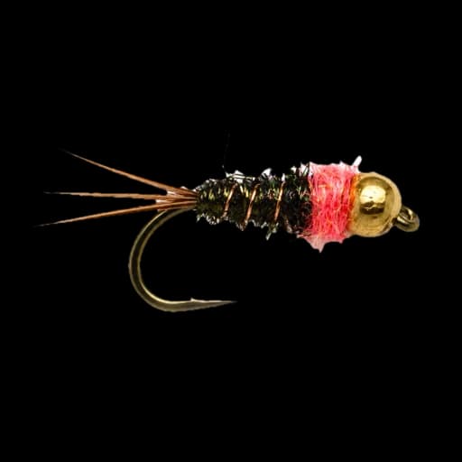 Frenchie nymph for long-leader French nymphing