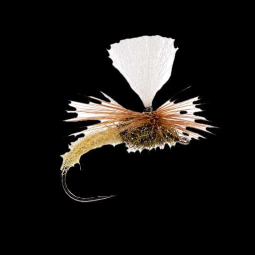 Klinkhamer emerger fly sitting in the surface film