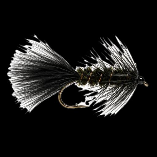 Woolly Bugger streamer for stripped retrieves