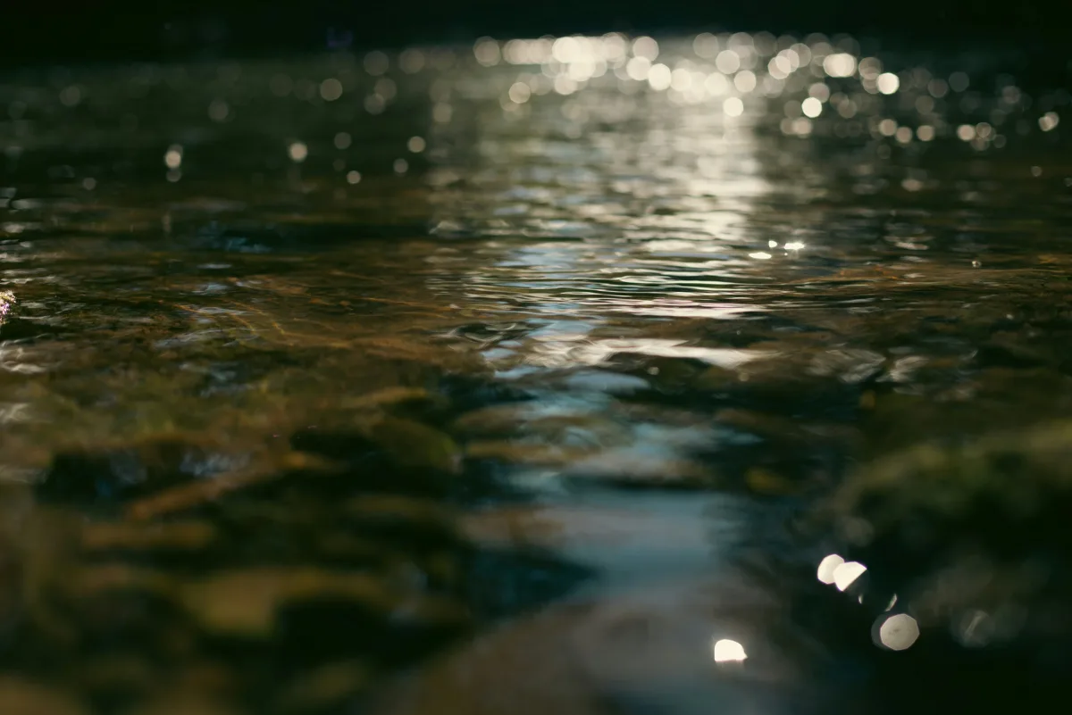 Low light on the Usk — sparkle on the surface and weed on the bed
