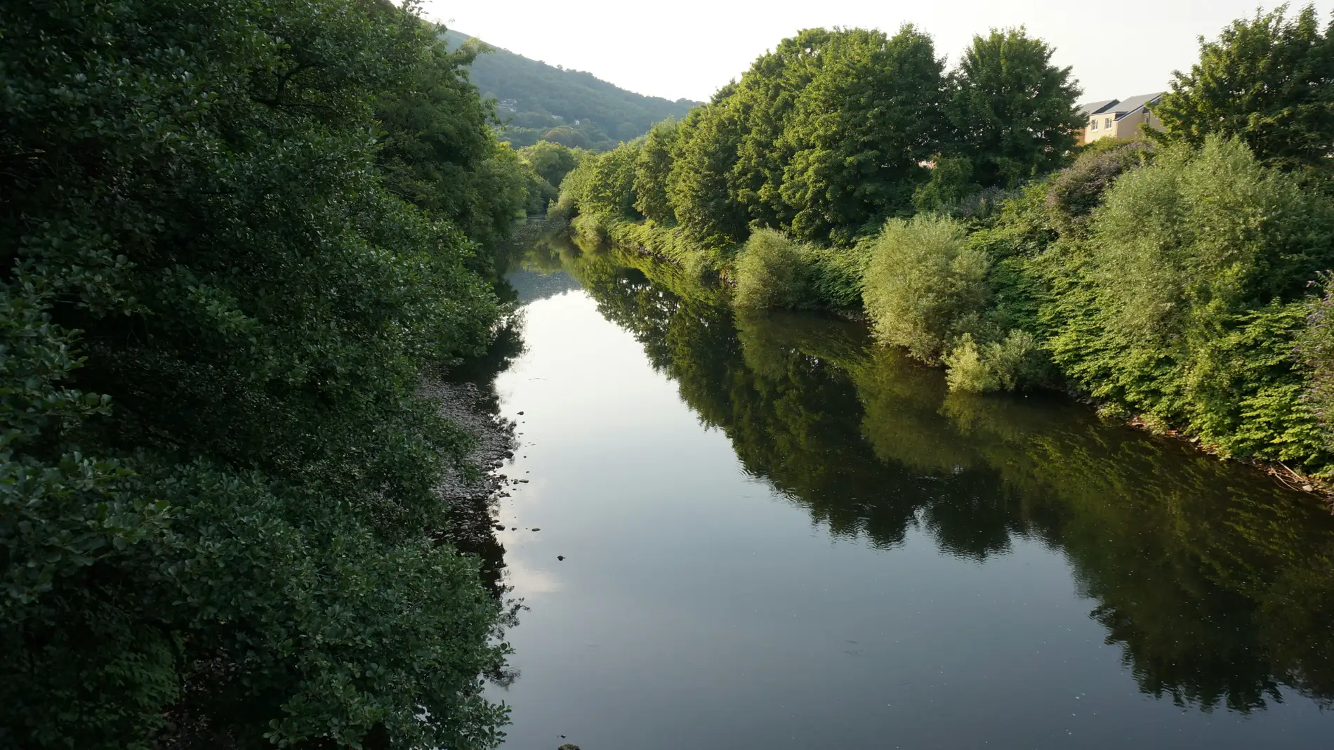 Tree-lined River Taff at Taff's Well — grayling and wild trout water within reach of Cardiff city centre