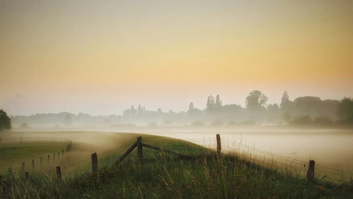 Dawn river mist near London