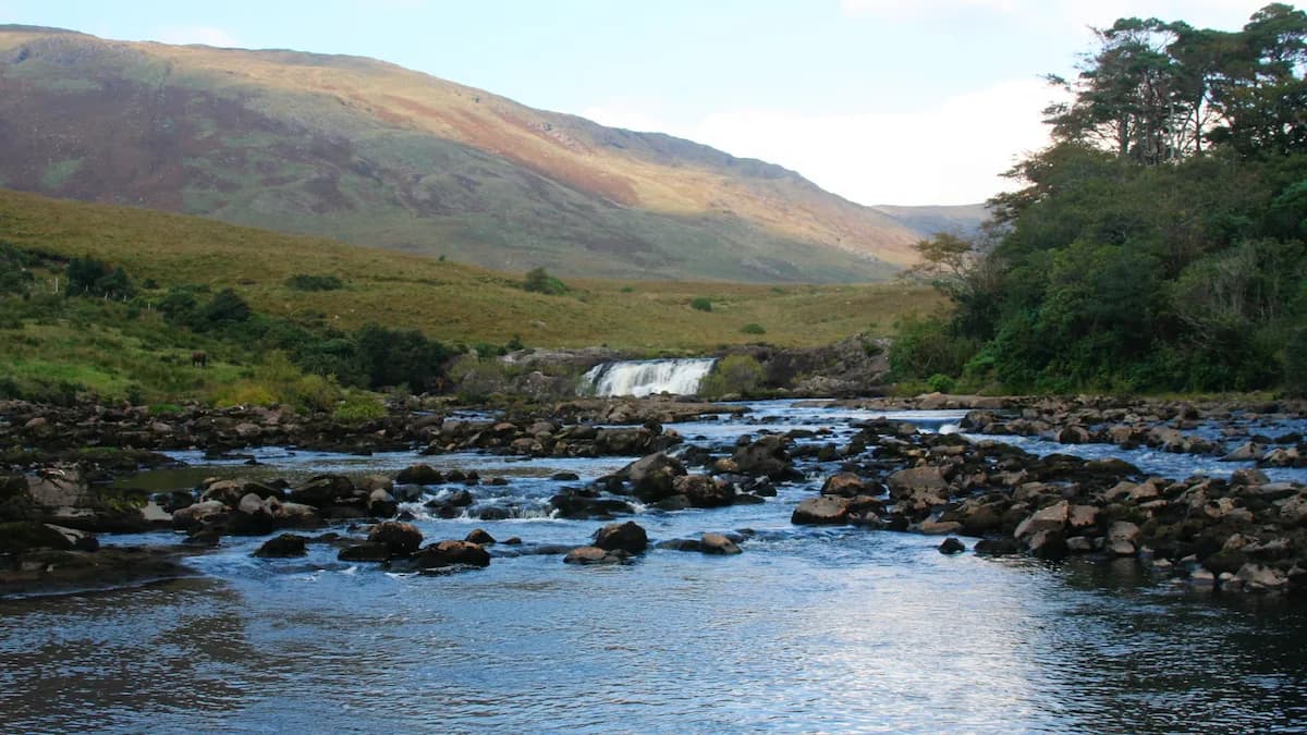 Irish salmon river — Moy / Galway Weir / Blackwater