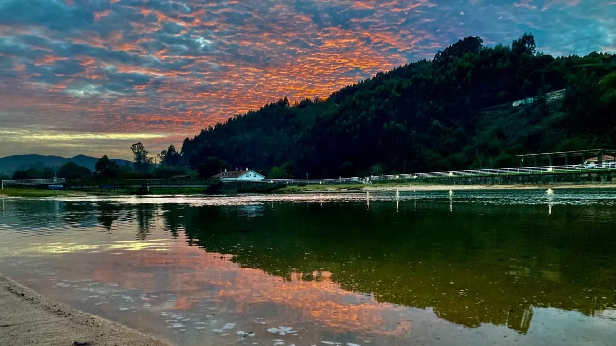 Estuary mullet at sunset