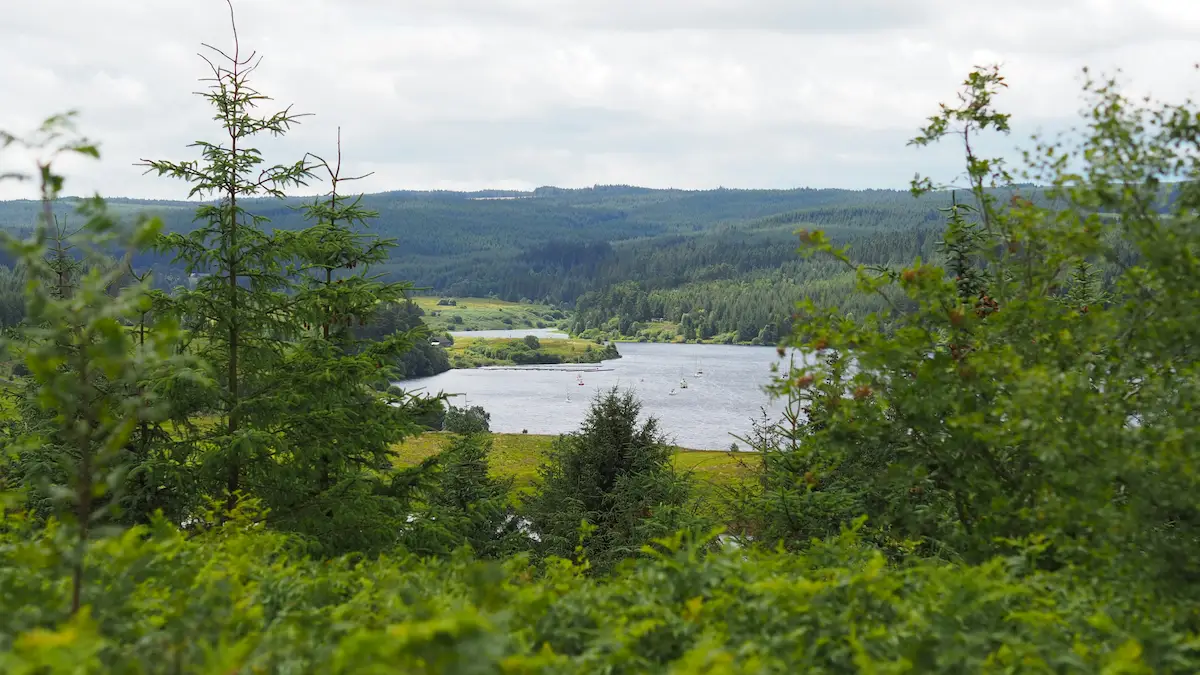 Kielder Water surrounded by green forest, Northumberland — calm reservoir in late summer