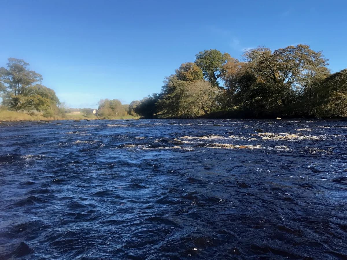 Atlantic salmon pool in autumn