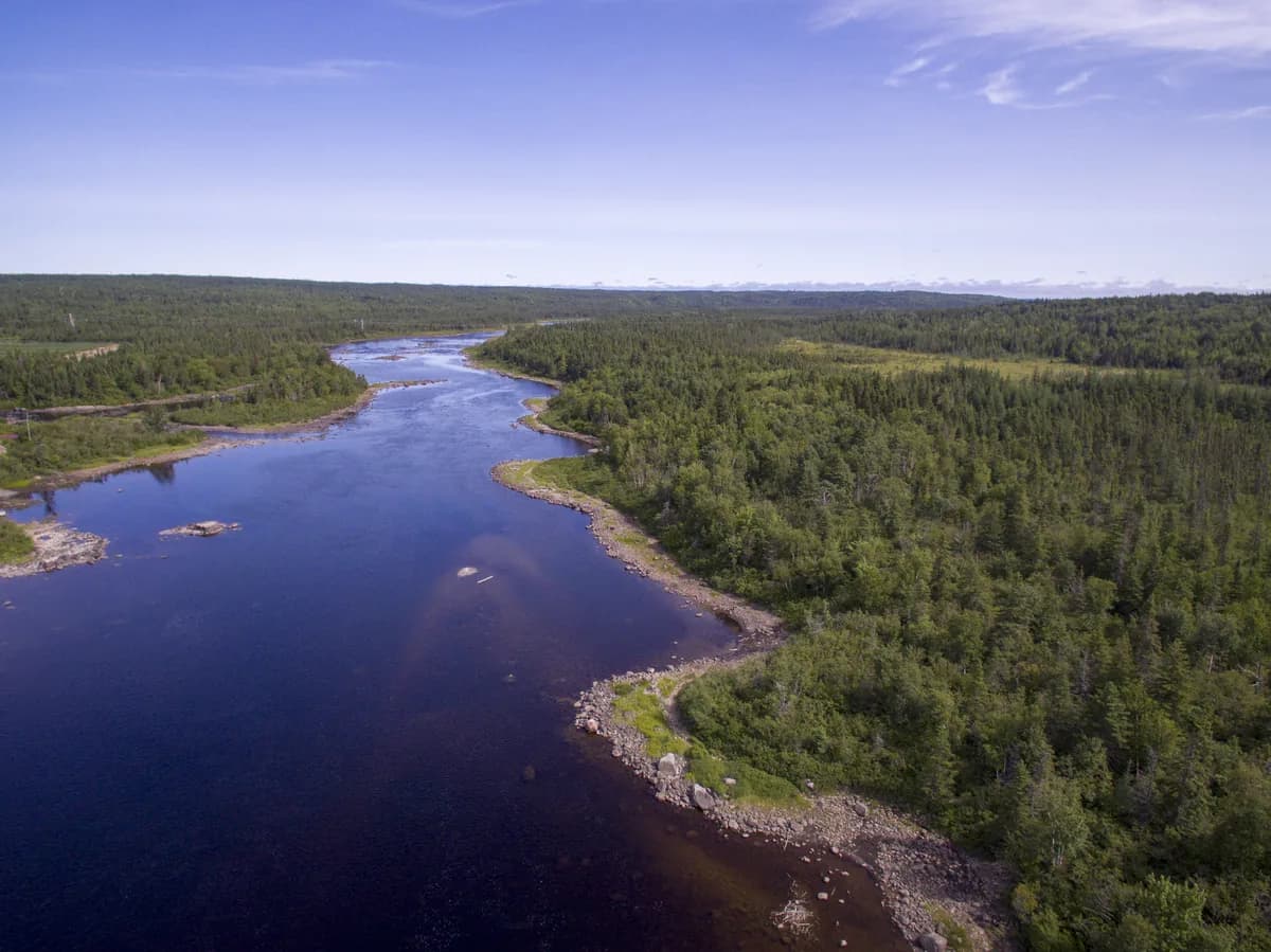 Aerial view of the Gander River winding through boreal forest near Glenwood, Newfoundland