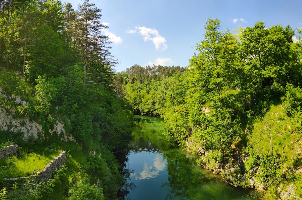 River Reka — Reka river at Škoflje (Slovenia)