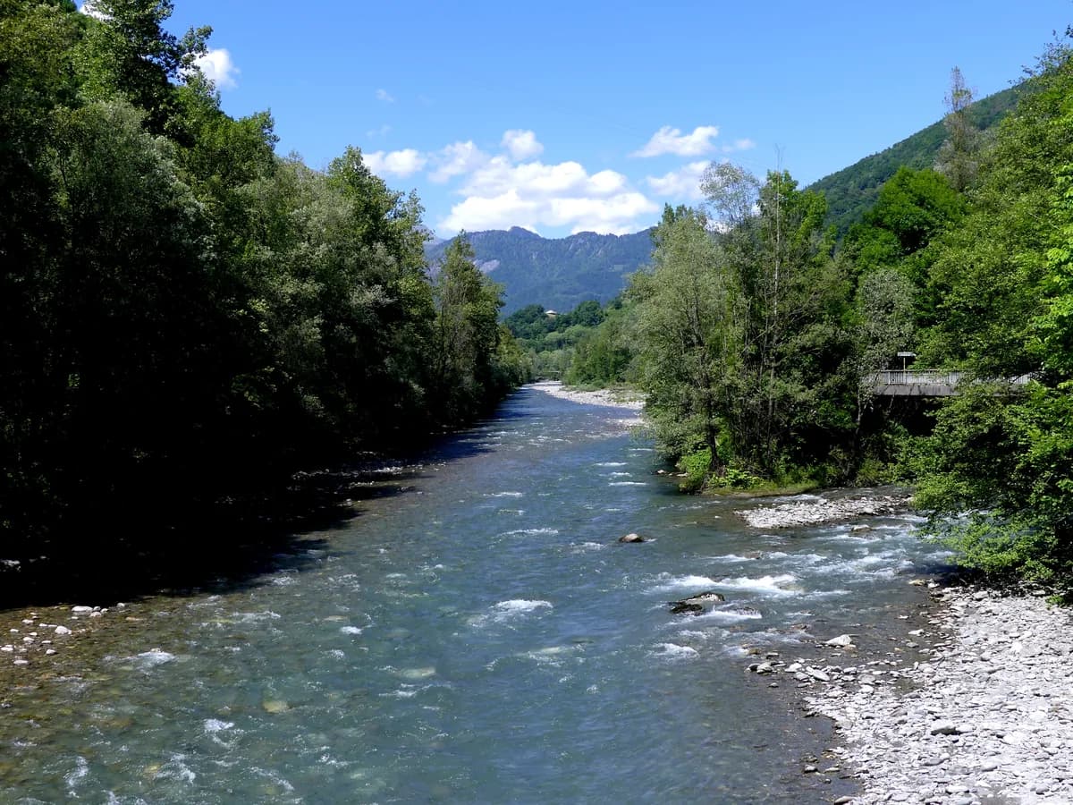 A wide alpine river flows over a gravel bed between forested banks, with mountains rising in the background near Césarches, Savoie, France.