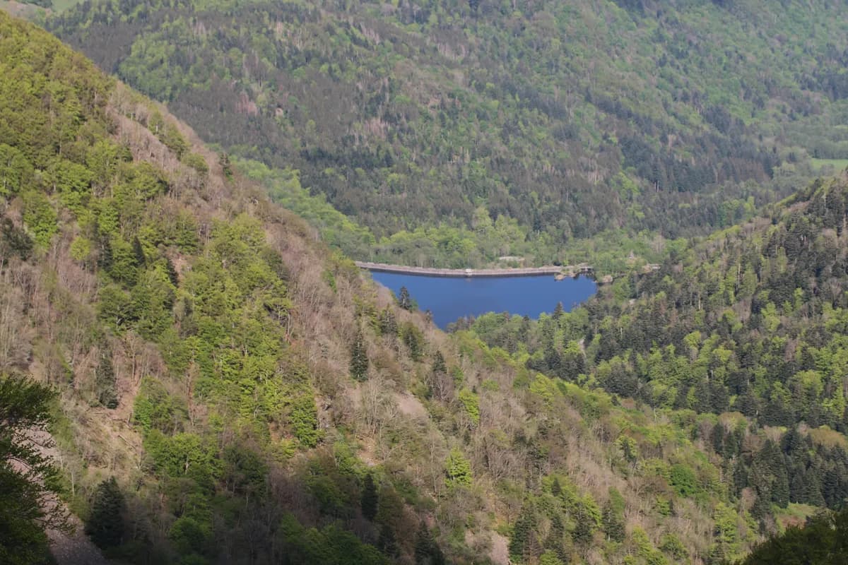 Lac d'Alfeld — Lac d'Alfeld @ Ballon d'Alsace