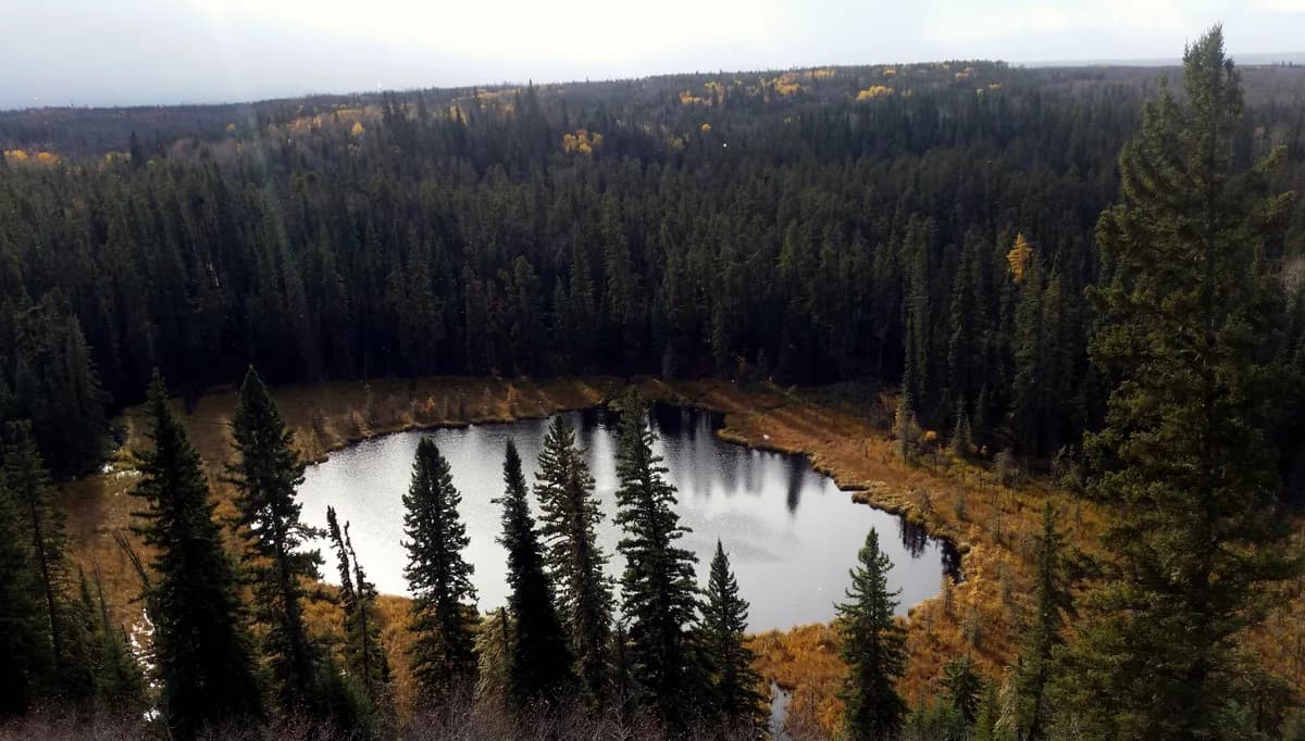 Narrow Hills Provincial Park lakes — A small lake along the Narrow Hills Scenic Drive in Narrow Hills Provincial Park in Saskatchewan, Canada.