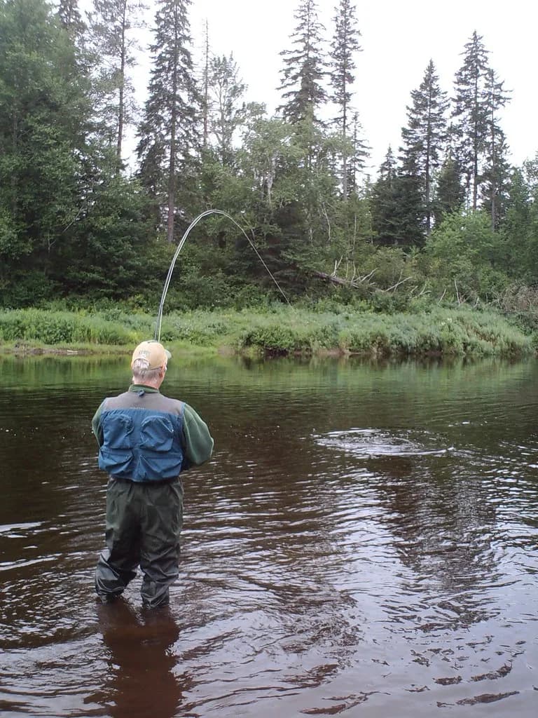 An angler in waders fighting a fish on a fly line on the tree-lined Cains River.