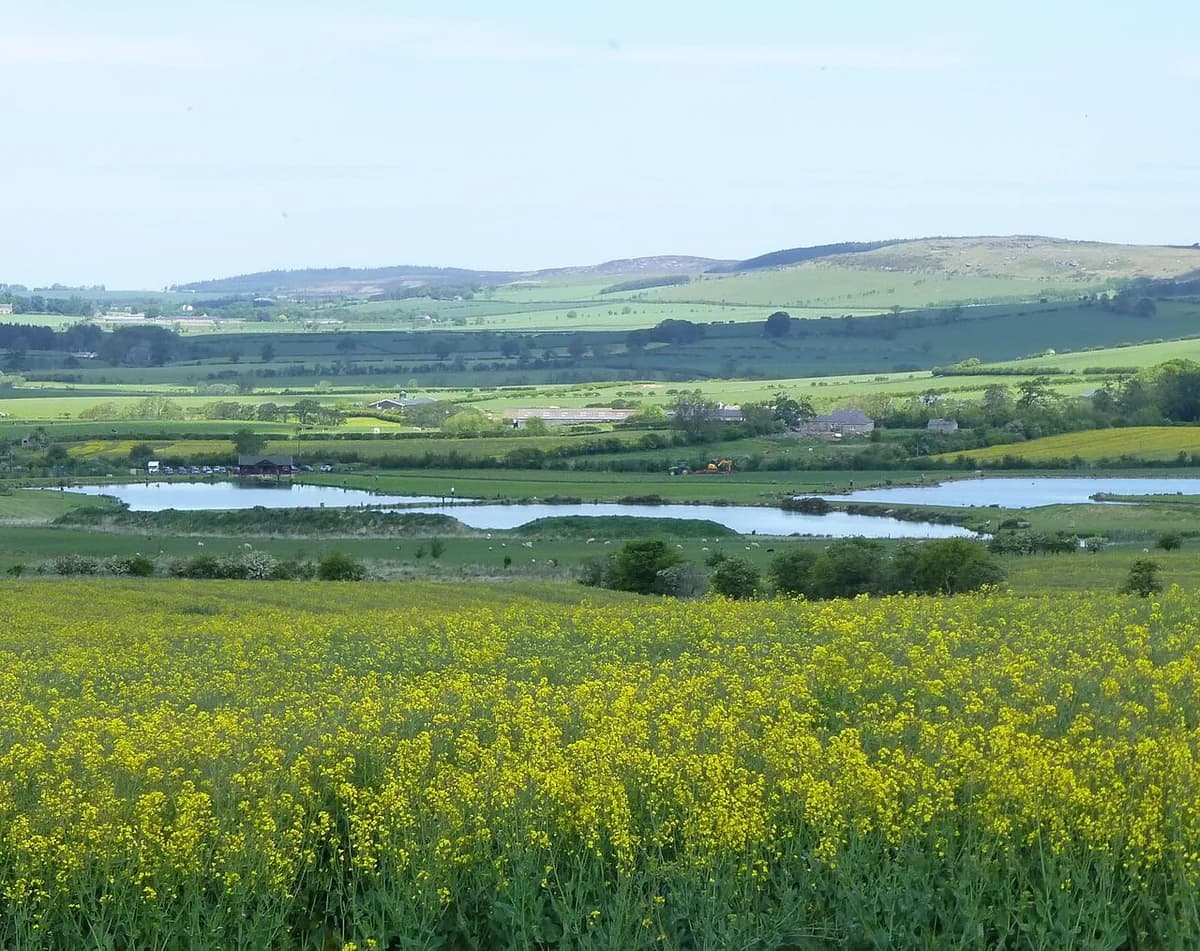 Wide view over rolling Northumberland farmland with the two stocked lakes of Chatton Trout Fishery visible in the valley below, hills in the background