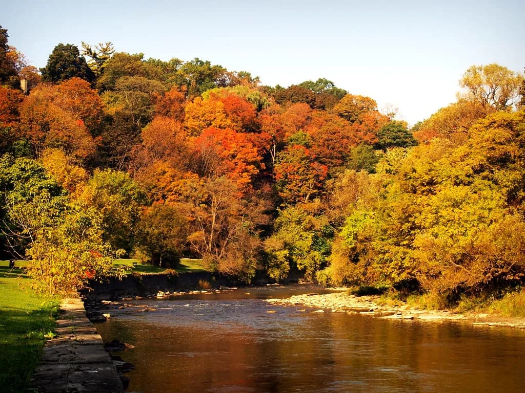 Humber River — Autumn at Humber River
