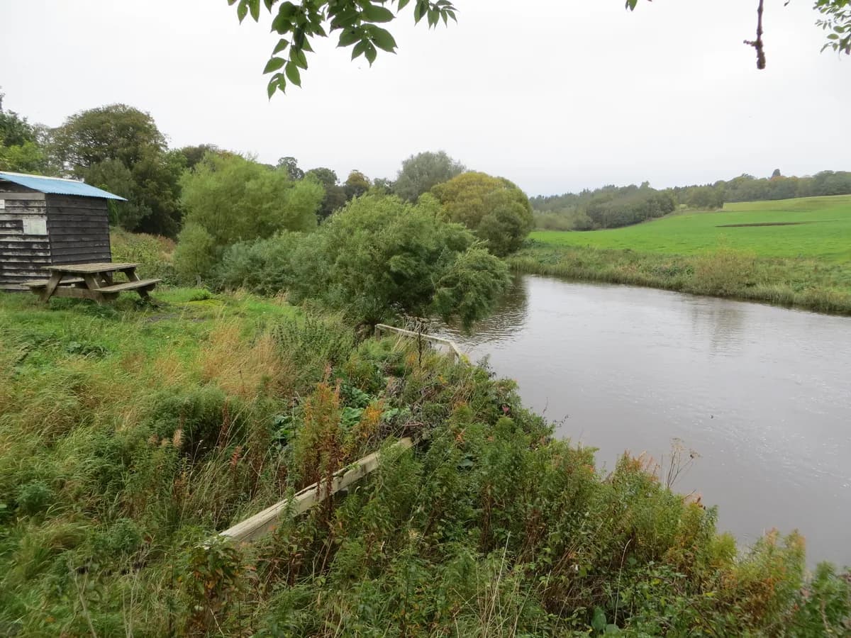 A rural stretch of the River Teviot near Old Ormiston in the Scottish Borders, flanked by trees and open farmland.