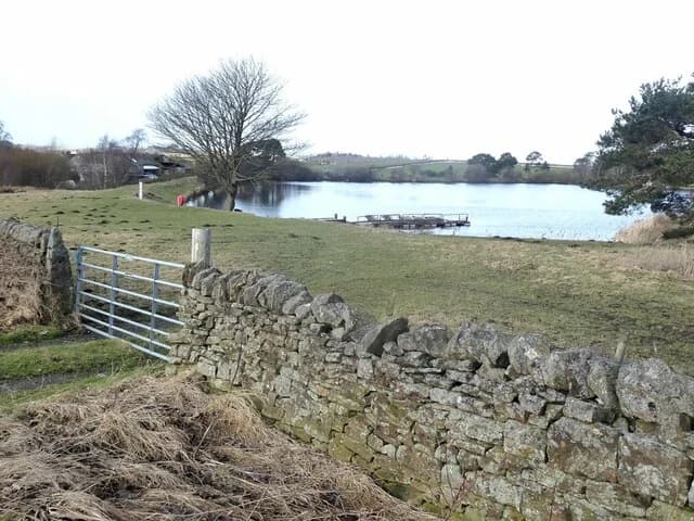 Langley Dam fishing lake with jetty and drystone wall in the foreground, Northumberland