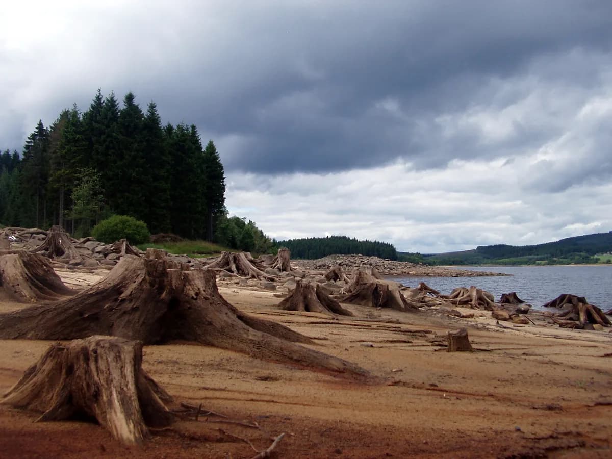 Kielder Water — Kielder water uk - panoramio
