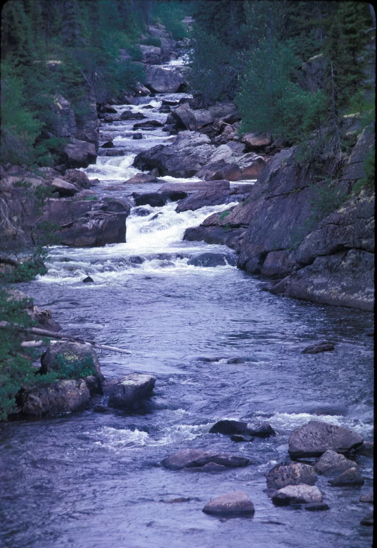 Miramichi (Southwest) — North Pole Stream, a tributary of the Southwest Miramichi