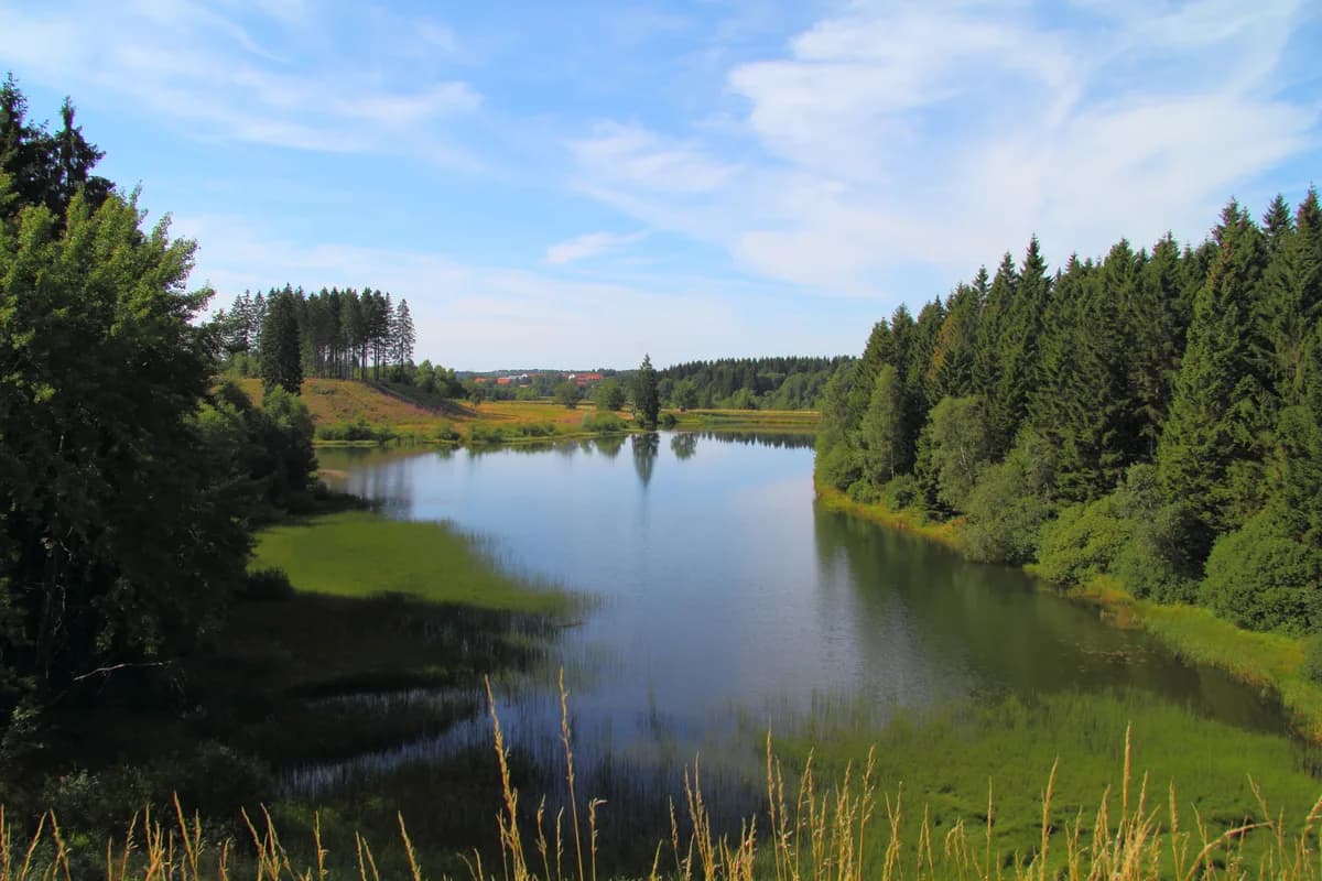 Upper Harz Ponds (Oberharzer Teiche) — Clausthal-Zellerfeld 2015-08-05t