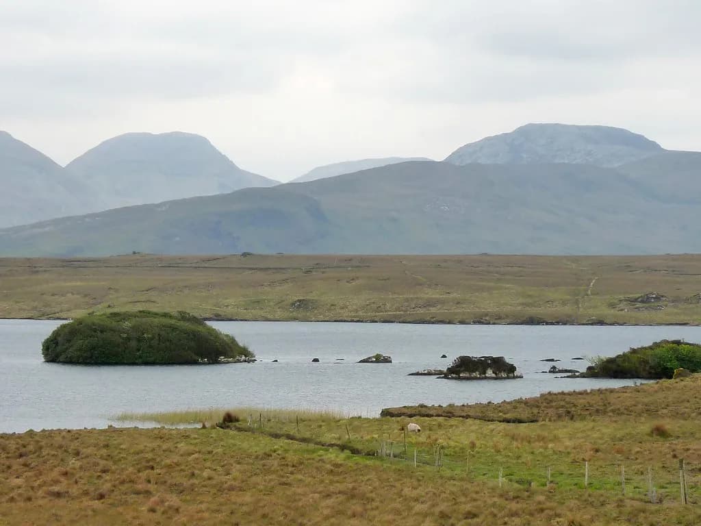 Lough Fee — Lough Fee 01