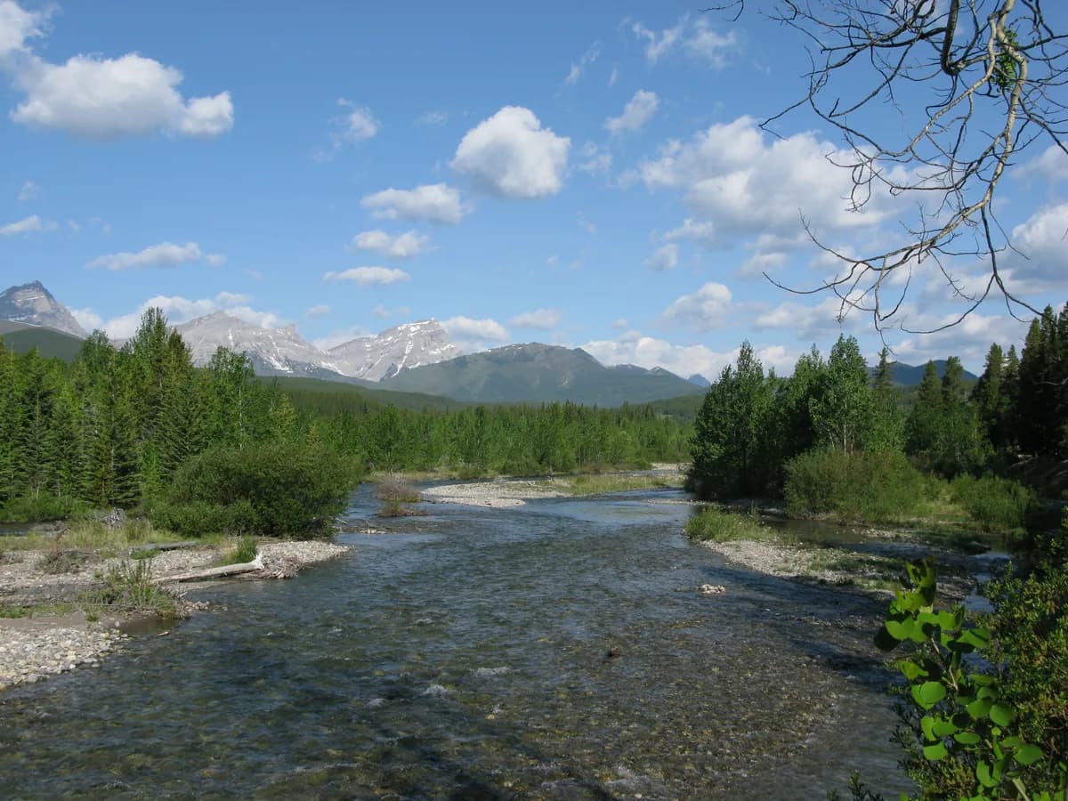 The Highwood River flowing over gravel bars through a forested valley with mountains behind, Kananaskis Country, Alberta