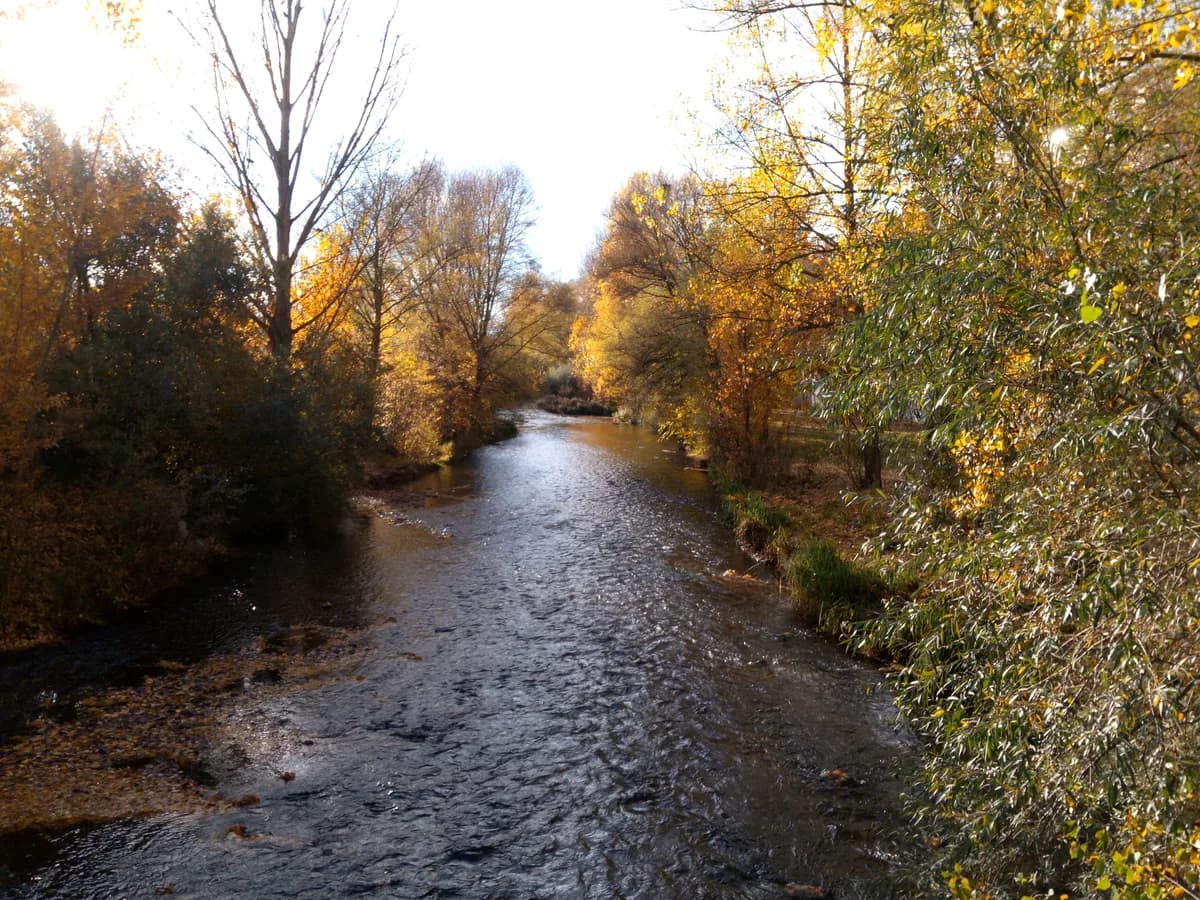 Río Arlanzón — Río Arlanzón a su paso por Burgos