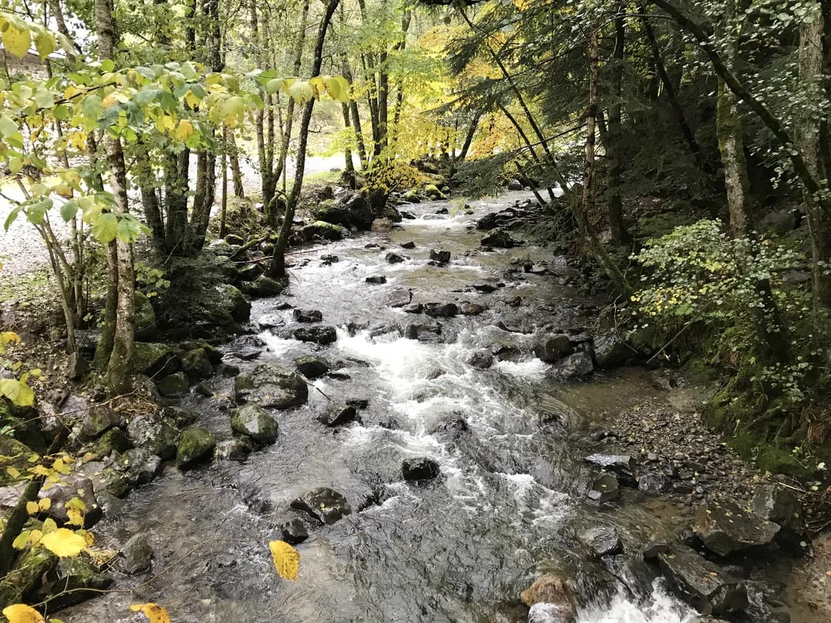 A rocky, boulder-strewn mountain stream flowing through autumn woodland on the upper Dordogne near La Bourboule, France.