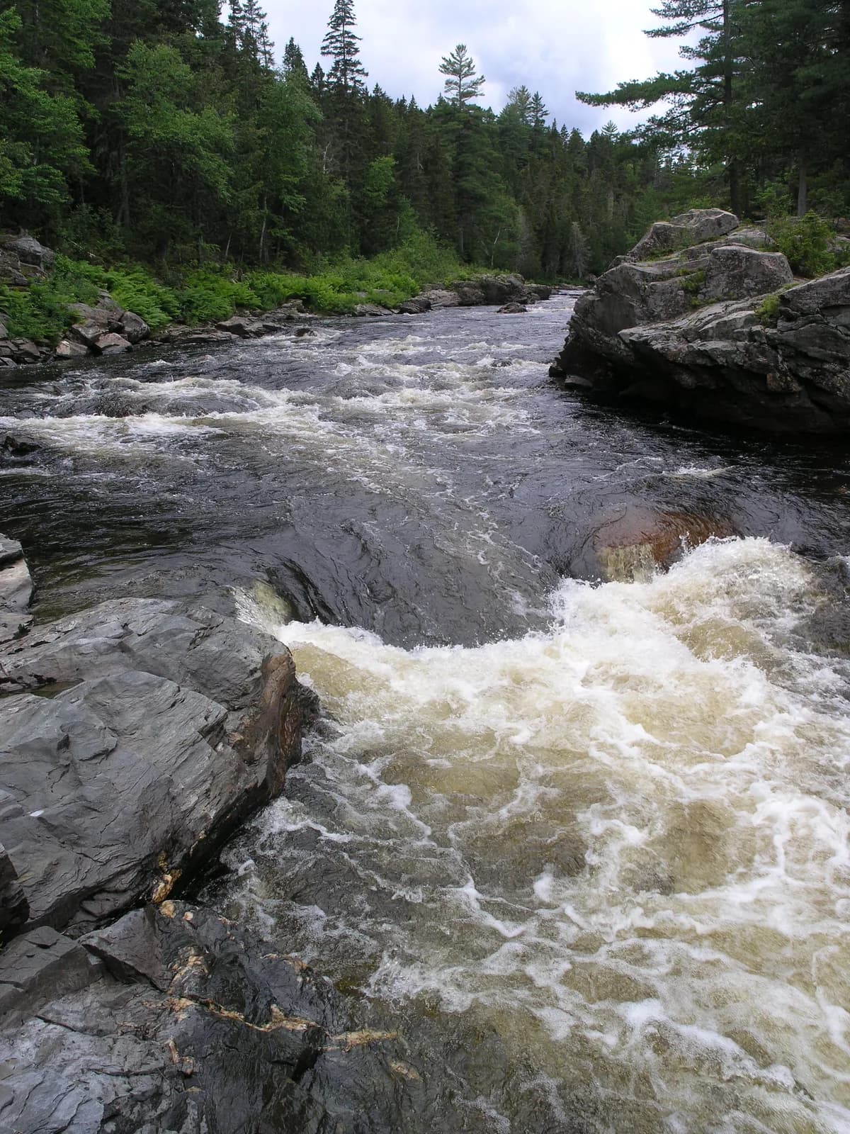 Photo of Little Southwest Miramichi
