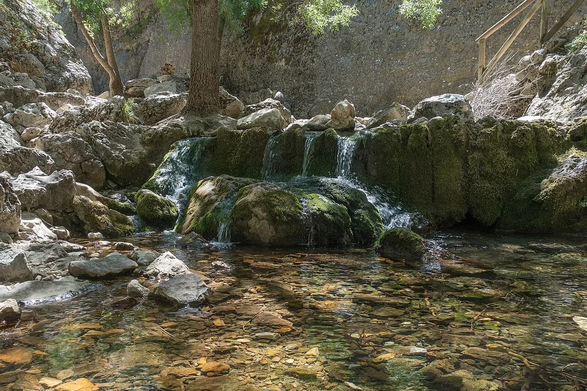 Clear spring water cascading over moss-covered rock at the source of the Guadalquivir river in the Sierra de Cazorla natural park