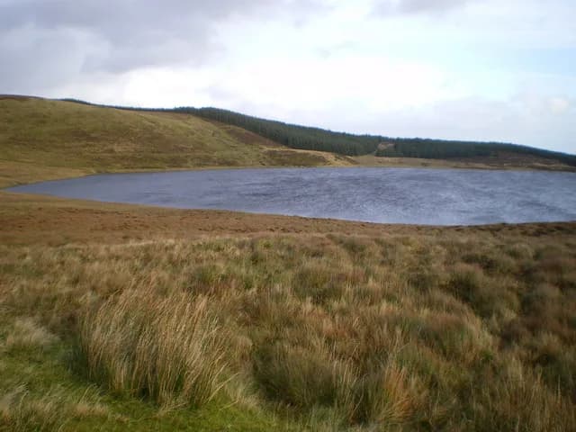 A calm upland lake seen across open moorland, with a band of conifer forestry on the far hillside under a partly cloudy sky.