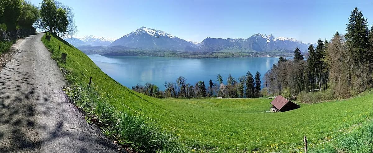 Panoramic view of Lake Thun with Mount Niesen and the Bernese Alps