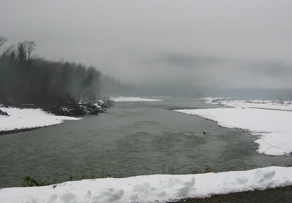 Squamish & Cheakamus Rivers — Brakendale Winter