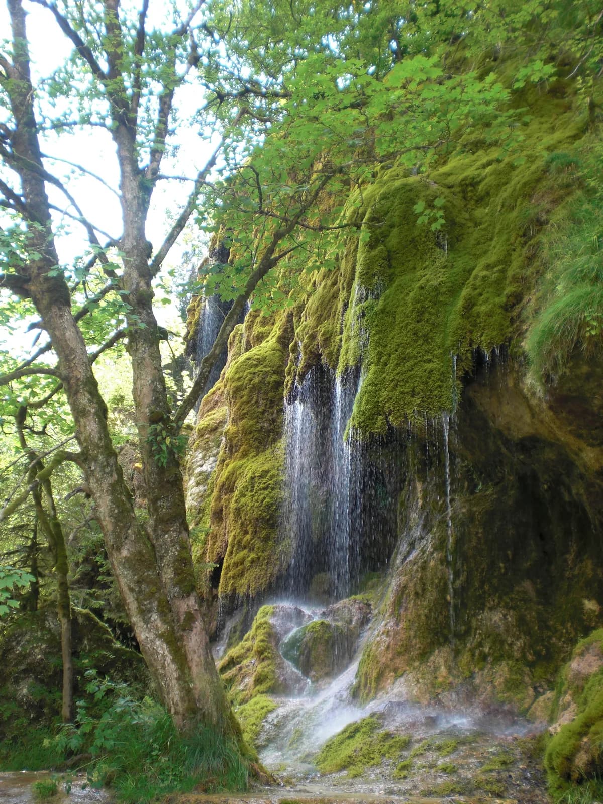 Upper Ammer — Schleierfälle