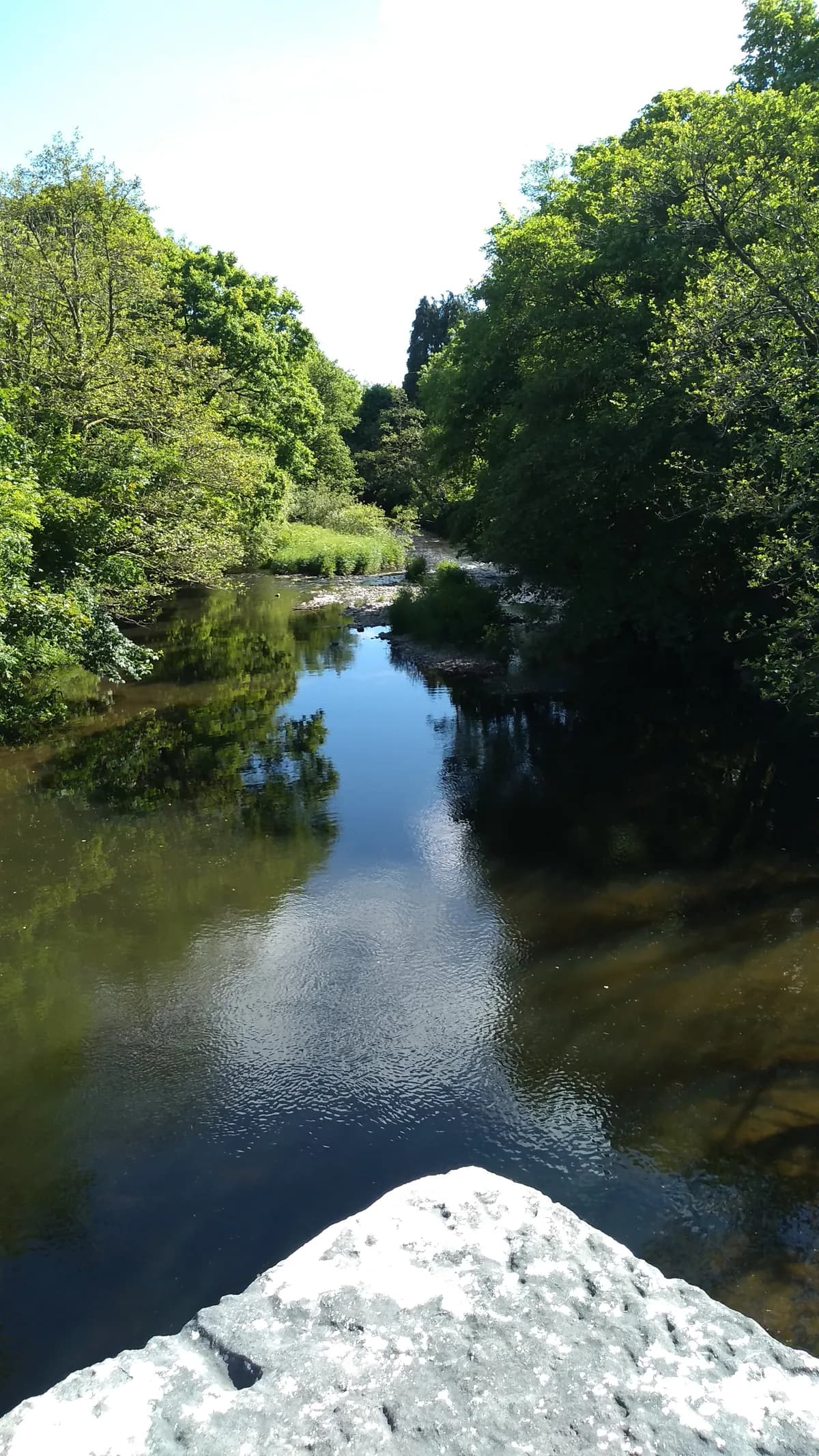 The Eastern Cleddau river seen from Llawhaden Bridge, Pembrokeshire, Wales
