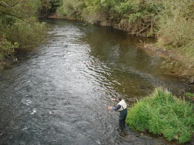 An angler fly fishing on the River Lugg, viewed from a footbridge near Bodenham.