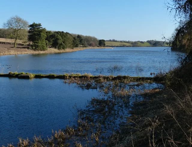 Calm water of Thornton Reservoir in Leicestershire, seen from its western arm