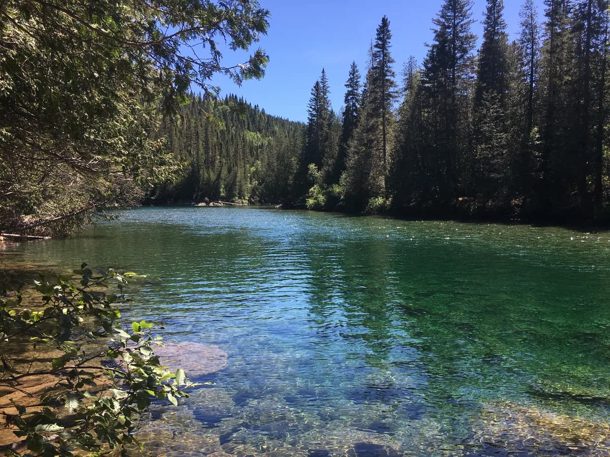 Crystal-clear turquoise water of the Bonaventure River flanked by dense conifer forest in the Gaspé Peninsula, Quebec