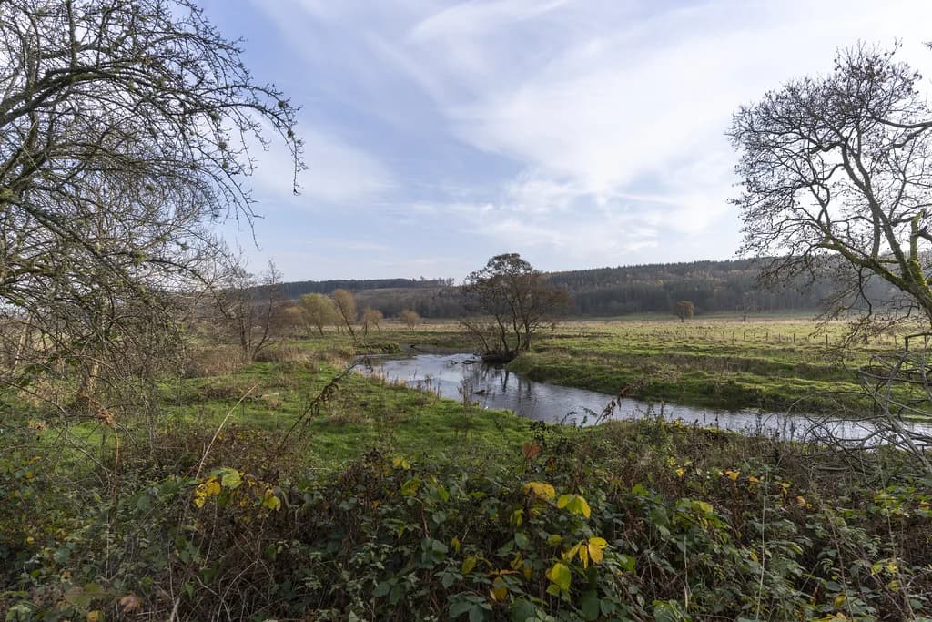 A winding lowland river, the River Devon in Clackmannanshire, curving through open pasture with autumn trees and wooded hills in the background.