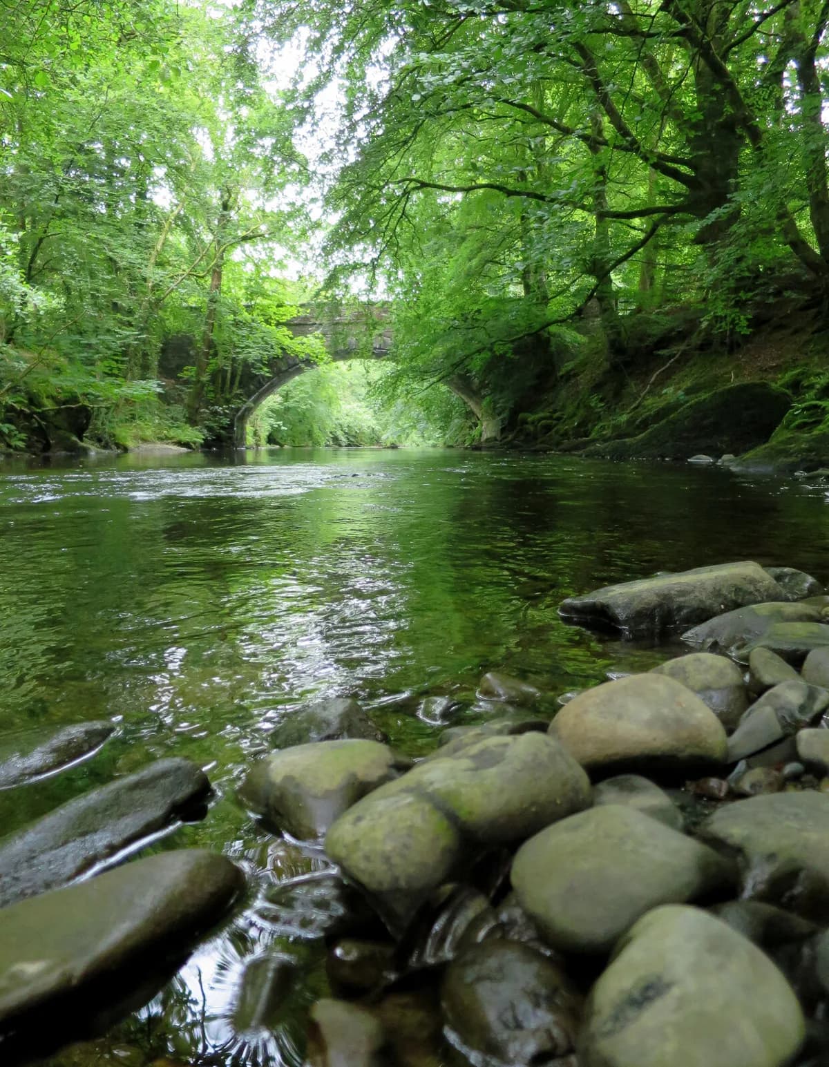 A clear pool on the River Vyrnwy with a visible gravel and boulder riverbed, an old stone bridge, and dense green tree cover.