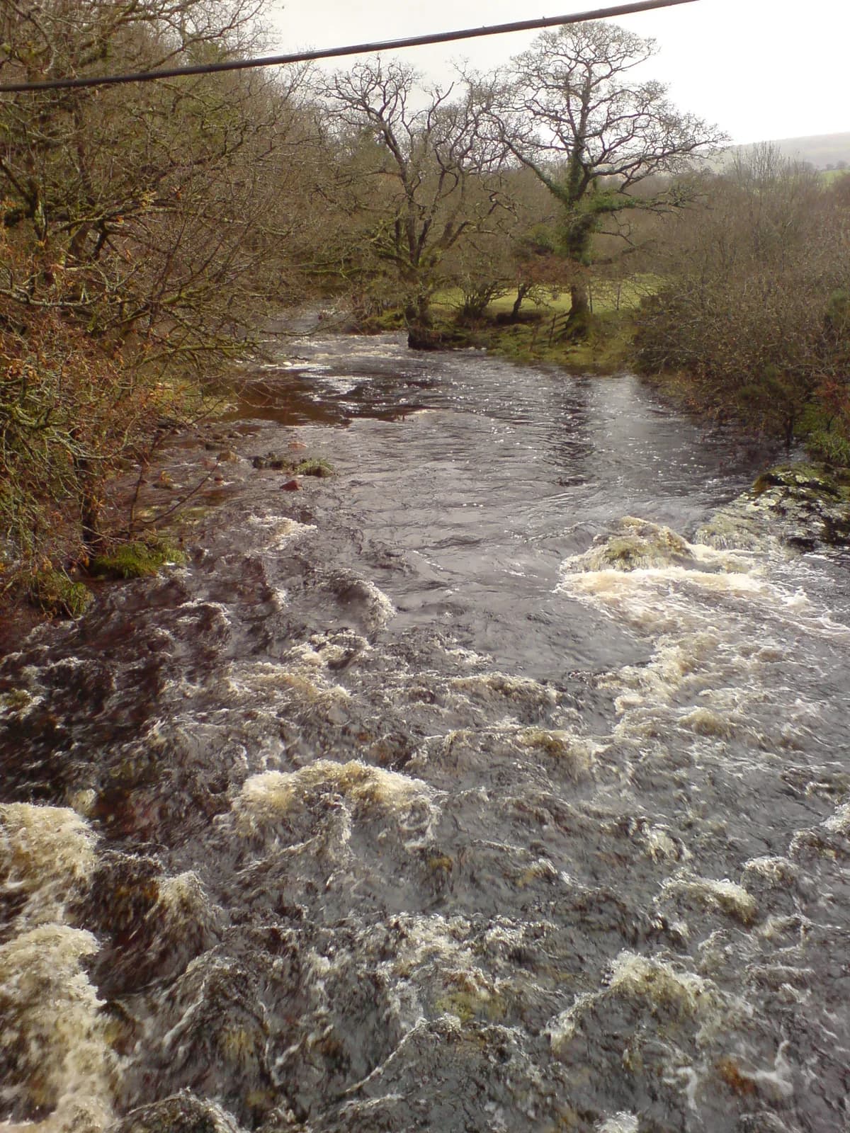 Photo of River Tavy
