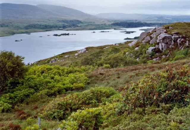 View across Lough Beagh with heather-covered hills and rocky outcrops, Glenveagh National Park, County Donegal