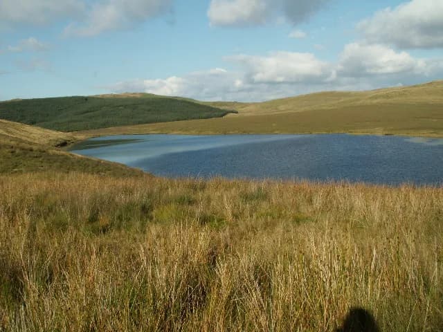 Llyn Penrhaeadr, a small upland lake ringed by moorland and forestry in the Cambrian Mountains above Talybont.