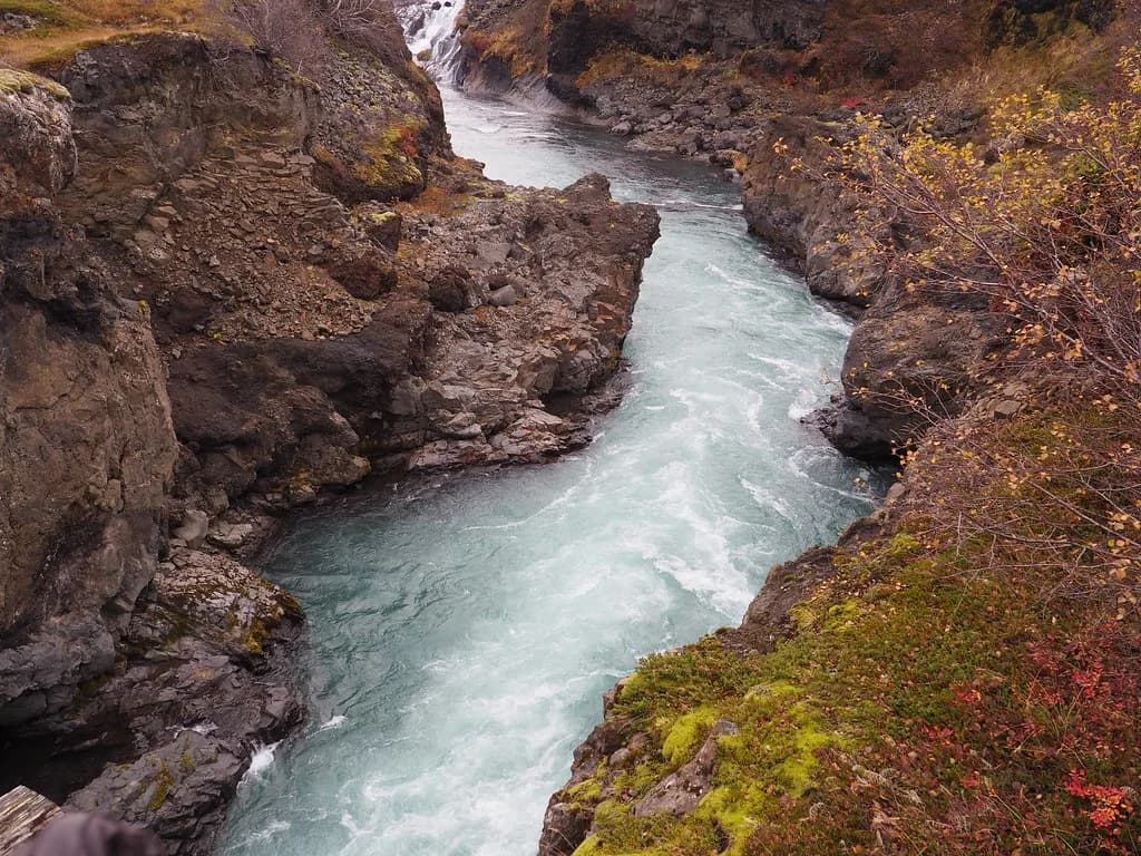 Turquoise glacial river water rushing through a narrow basalt rock gorge lined with autumn foliage.