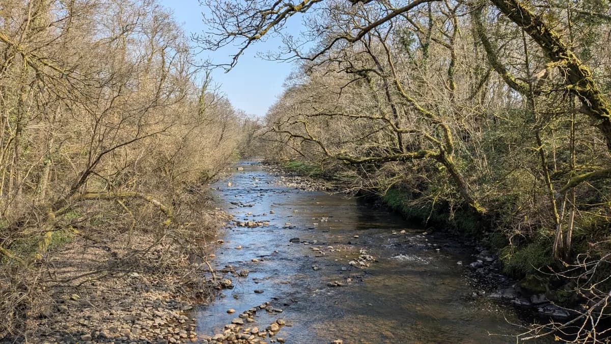 A clear, shallow stretch of the River Amman flowing over a stony riverbed, framed by leafless trees on both banks.