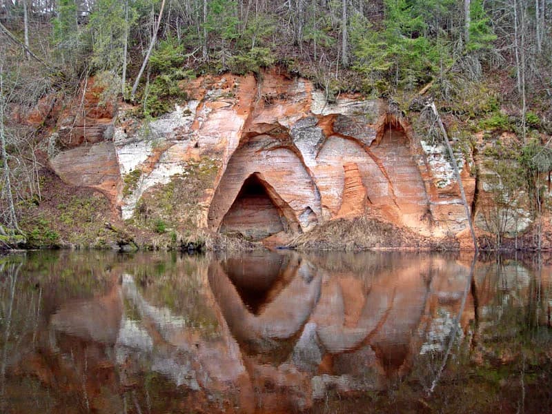 Photo of Salaca