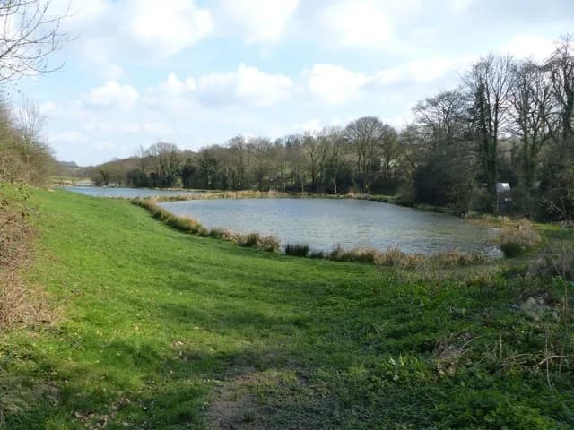 Fishing lakes at Barlow Country Club Fishery near Common Side, Derbyshire, fed by Barlow Brook