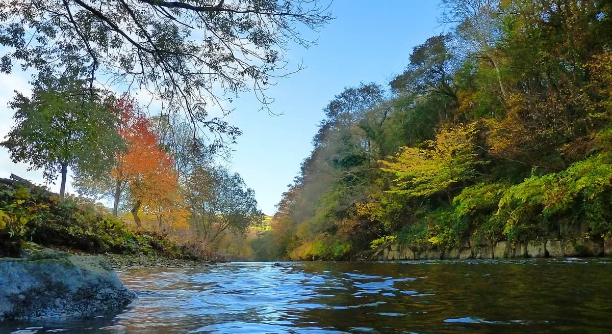 The River Ebbw running through a wooded gorge at Risca, South Wales, in autumn colour.