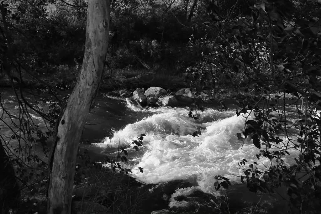Crowsnest River — Standing wave
