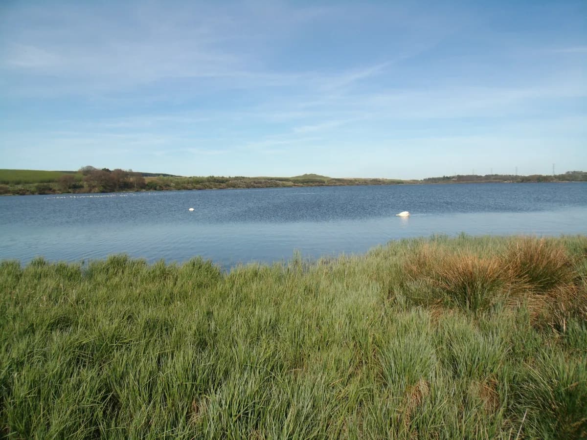 Wide view across the still water of Loch Fitty in West Fife, Scotland